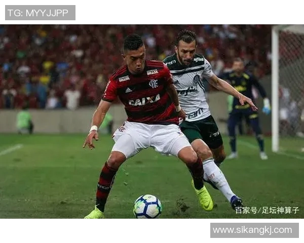 帕梅拉斯与巴竞技的激烈对决揭示巴西足球的魅力与竞争力