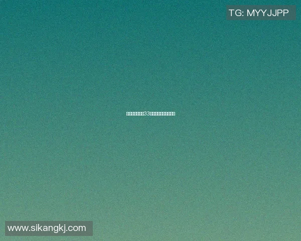 西班牙篮球明星33的辉煌历程与成就分析 西班牙篮球明星33的辉煌历程与成就分析